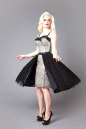 Circus Dress